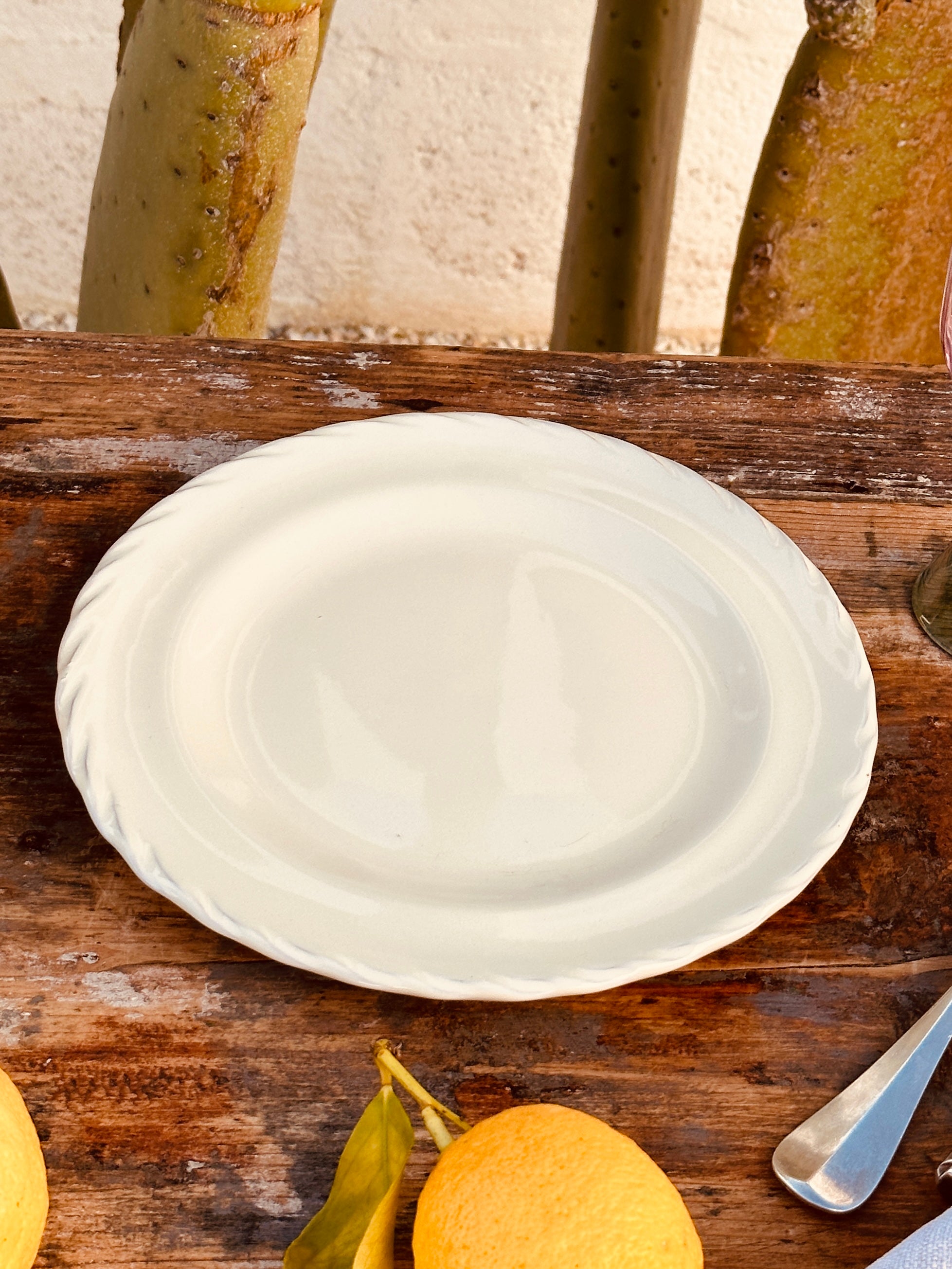 Uni Dinner Plate "Avorio"