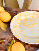 Schizzato Dinner Plate Limone
